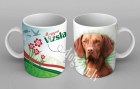vizlacup copy